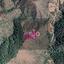 land for sale pigenia nicosia 8274848 thumbnail 15155569