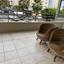 3 bedroom apartment for rent neapolis limassol 8592948 thumbnail 15742210