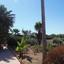 5 bedroom detached house for sale saint george peyia paphos 7738948 thumbnail 12566914