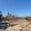 5 bedroom detached house for sale saint george peyia paphos 7738948 thumbnail 12566917