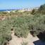 5 bedroom detached house for sale saint george peyia paphos 7738948 thumbnail 12566918