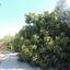 5 bedroom detached house for sale saint george peyia paphos 7738948 thumbnail 12566927