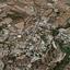 land for sale tremithousa paphos 7739948 thumbnail 11758931