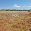 plot for sale anarita paphos 1159948 thumbnail 5534131