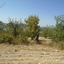 plot for sale paramytha limassol 1194948 thumbnail 5573134