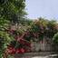 3 bedroom semi detached house for sale tombs of the kings paphos 1821058 thumbnail 6355656