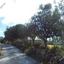 16723 SQM Land for sale in Drynia, Paphos thumbnail 16306192