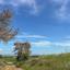 land for sale agios theodoros soleas nicosia 8716158 thumbnail 16294582