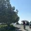 land for sale aradippou larnaca 1710158 thumbnail 6319334