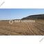 land for sale dali nicosia 1578158 thumbnail 6009862