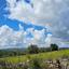 land for sale drynia paphos 8532158 thumbnail 16306184