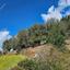 land for sale drynia paphos 8532158 thumbnail 16306188