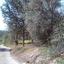land for sale drynia paphos 8532158 thumbnail 16306191