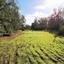 land for sale shia nicosia 1151158 thumbnail 12671136