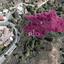 7814 SQM Land for sale in Kakopetria, Nicosia thumbnail 15159358