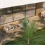 3 bedroom apartment for sale limassol municipality limassol 1046358 thumbnail 6261051