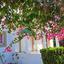 3 bedroom detached house for rent pervolia larnaca 7526358 thumbnail 16391453