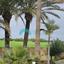 3 bedroom detached house for rent pervolia larnaca 7526358 thumbnail 16391471
