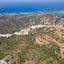 land for sale neo chorio paphos 1235358 thumbnail 15599989