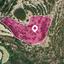 land for sale koili paphos 1897458 thumbnail 14205732
