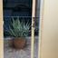 2 bedroom apartment for rent acropolis nicosia 8343558 thumbnail 14380350