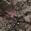 land for sale agios tychonas limassol 1658658 thumbnail 5845557