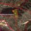 plot for sale spilia nicosia 1152658 thumbnail 12675278
