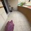1 bedroom apartment for rent faneromeni larnaca 8670758 thumbnail 16286440