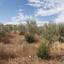 land for sale potami nicosia 1210758 thumbnail 3410886