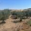 land for sale potami nicosia 1210758 thumbnail 3446230