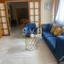 3 bedroom apartment for rent agia zoni limassol 7573858 thumbnail 15883231