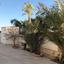 3 bedroom detached house for rent oroklini larnaca 7637858 thumbnail 13834469