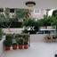 4 bedroom semi detached house for sale ekali limassol 1256858 thumbnail 7688132