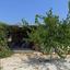 land for sale neo chorio paphos 1385958 thumbnail 15298833