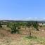 land for sale neo chorio paphos 1385958 thumbnail 15298852