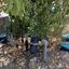 land for sale neo chorio paphos 1385958 thumbnail 15298856