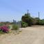 land for sale neo chorio paphos 1385958 thumbnail 15298858