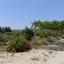 land for sale neo chorio paphos 1385958 thumbnail 15298876