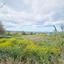 land for sale pano arodes paphos 1738958 thumbnail 4741878
