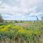 land for sale pano arodes paphos 1738958 thumbnail 4741879