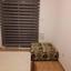 1 bedroom apartment for rent kato lakatamia nicosia 8749068 thumbnail 16471581