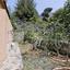 3 bedroom detached house for sale kato platres limassol 1498068 thumbnail 14356548