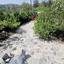 3 bedroom detached house for sale kato platres limassol 1498068 thumbnail 14356549