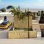 3 bedroom detached house for sale peyia paphos 8443068 thumbnail 16048471
