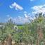 6 bedroom detached house for sale ayia napa famagusta 995068 thumbnail 941416