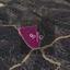 land for sale agios theodoros soleas nicosia 8275068 thumbnail 15157206