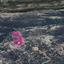 land for sale platanisteia limassol 1213068 thumbnail 14889265