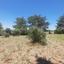 3233 SQM Land for sale in Mathiatis, Nicosia thumbnail 16249817