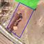 plot for sale kato lakatamia nicosia 1302168 thumbnail 16168950