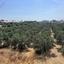 1 bedroom apartment for rent anthoupoli limassol limassol 8827268 thumbnail 16974707